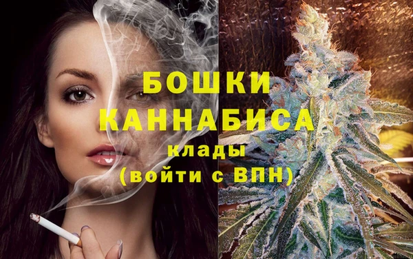 стафф Бронницы