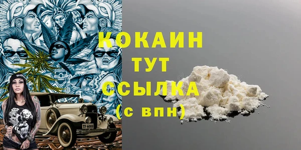 бошки Бородино
