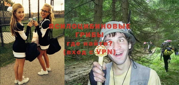 стафф Бронницы