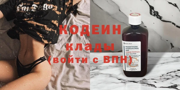 бошки Бородино