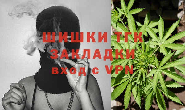 бошки Бородино
