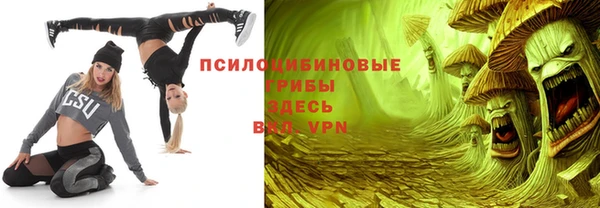 бошки Бородино