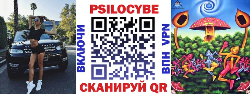 Псилоцибиновые грибы GOLDEN TEACHER  купить наркотики цена  Новосиль 
